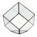 Modern Glass Geometric Terrarium Box Tabletop Succulent Plant Planter   302790924127